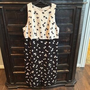 Ann Taylor Black and Cream Floral Dress